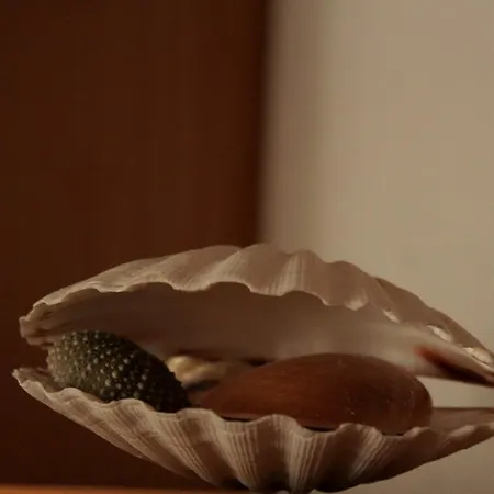 Biline Center Lejlighed