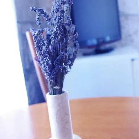 Appartement Biline